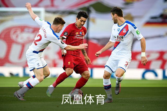 凤凰体育公司简介